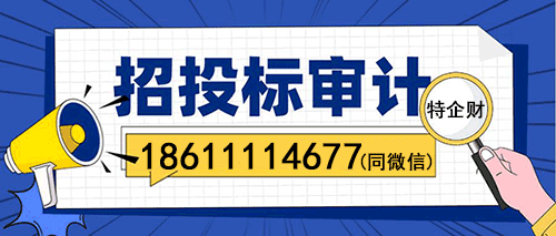 重庆招投标审计报告投标用审计报告怎么收费