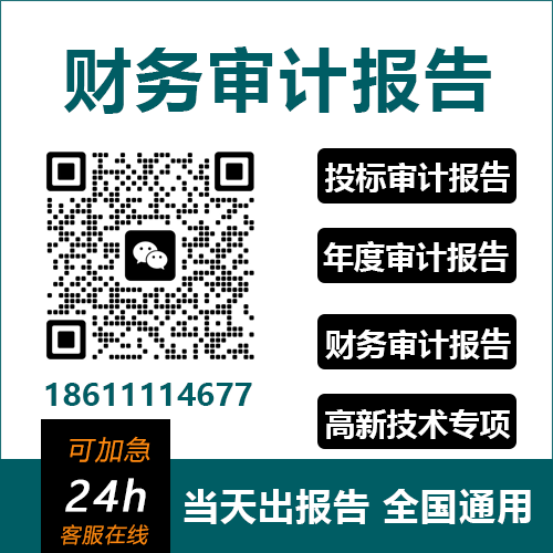 财务审计报告_企业财务审计报告怎么弄?公司财务审计报