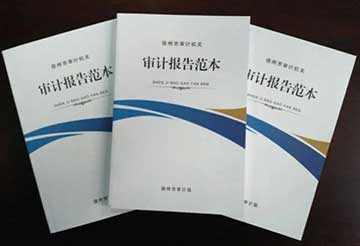 审计报告回复范文模板_关于审计报告征求意见书的复函