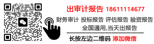 招投标审计报告_财务报告审计费用-审计报告网