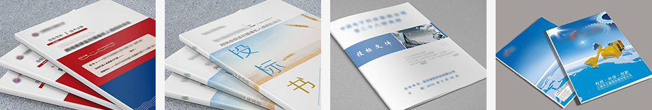 年度财务审计报告收费标准-物业保洁保安标书制作